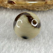 Natural Powerful Tibetan Old Oily Yellowish White with Black Agate Tiger Tooth Daluo Dzi Bead Heavenly Master (Tian Zhu) 虎呀天诛 3.42g 13.7mm - Huangs Jadeite and Jewelry Pte Ltd