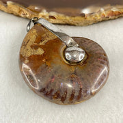 Natural Ammonite Fossil in Silver Pendant 32.29g 47.0 by 38.4 by 15.5mm - Huangs Jadeite and Jewelry Pte Ltd