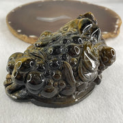 Natural Yellow Tiger's Eye Quartz 3 Legged Toad with Ancient Coin with Wooden Stand Display635.0g 128.1 by 90.7 by 92.5mm - Huangs Jadeite and Jewelry Pte Ltd