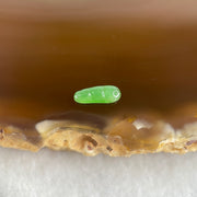 Type A Old Mine Full Green Jadeite Peapod Charm Stone For Setting 0.04g 8.8 by 3.4 by 1.9mm - Huangs Jadeite and Jewelry Pte Ltd