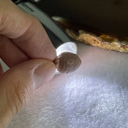 Natural Pink Gobi Agate Carrot Charm 2.68g 15.7 by 11.7mm - Huangs Jadeite and Jewelry Pte Ltd