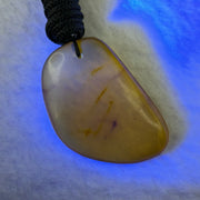 Natural Amber Pendent 天然琥珀牌 5.52g 35.8 by 24.0 by 7.4mm - Huangs Jadeite and Jewelry Pte Ltd