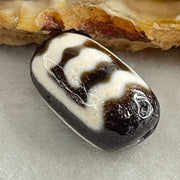 Natural Powerful Tibetan Old Oily Agate Garuda Dzi Bead Heavenly Master (Tian Zhu) 2.74g 17.0 by 10.2mm - Huangs Jadeite and Jewelry Pte Ltd