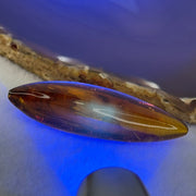 Natural Amber Mini Display 8.92g 61.4 by 17.2 by 14.9mm - Huangs Jadeite and Jewelry Pte Ltd