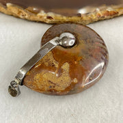 Natural Ammonite Fossil in Silver Pendant 32.29g 47.0 by 38.4 by 15.5mm - Huangs Jadeite and Jewelry Pte Ltd