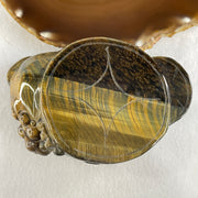 Natural Yellow Tiger's Eye Quartz 3 Legged Toad with Ancient Coin with Wooden Stand Display635.0g 128.1 by 90.7 by 92.5mm - Huangs Jadeite and Jewelry Pte Ltd