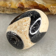 Natural Powerful Tibetan Old Oily Agate Tiger Tooth Daluo Dzi Bead Heavenly Master (Tian Zhu) 虎呀天诛 4.62g 17.9 by 13.3mm - Huangs Jadeite and Jewelry Pte Ltd