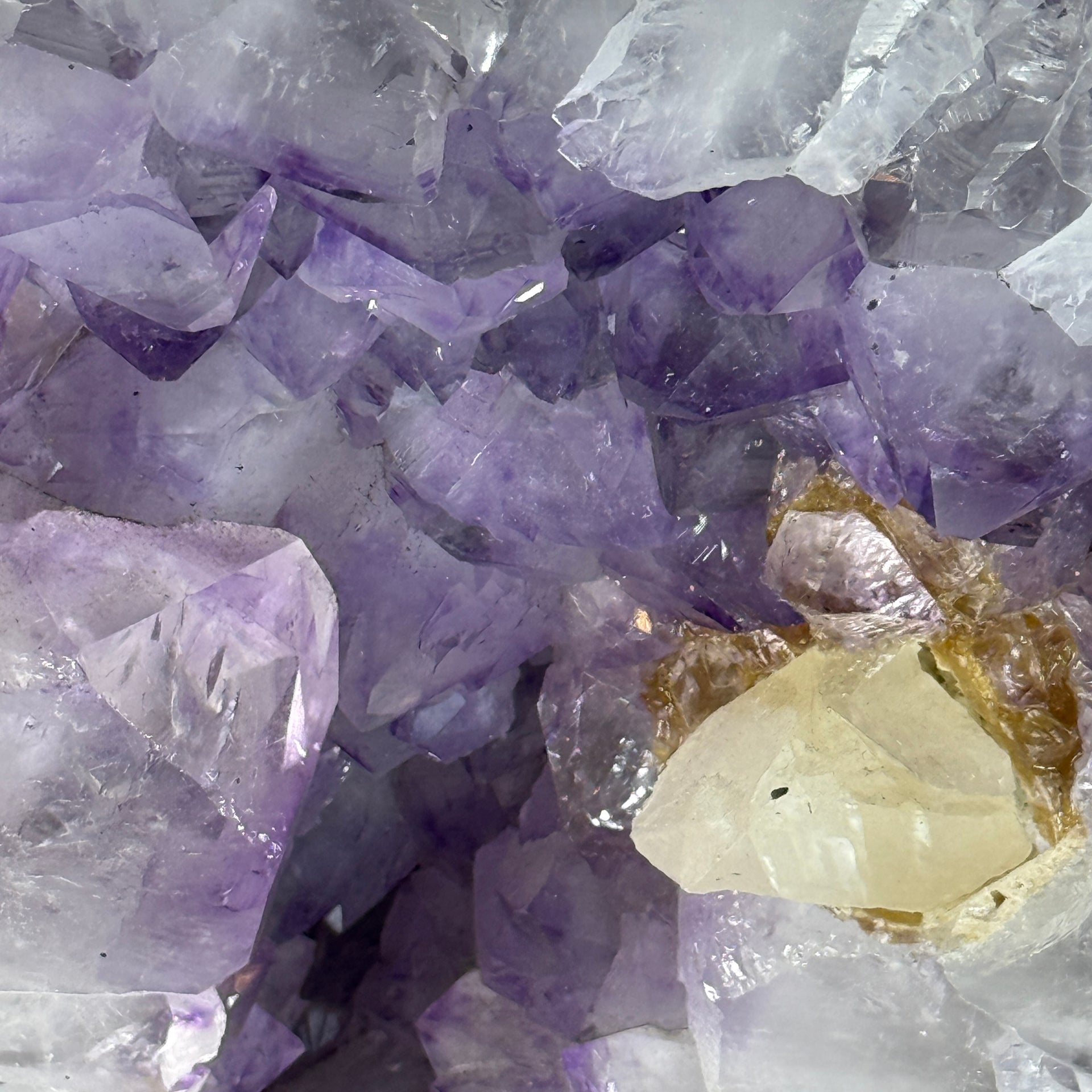 Natural Tree Shape Amethyst Cave with Wooden Stand Display 27,441.2g 410 by 235.0 by 505.0mm - Huangs Jadeite and Jewelry Pte Ltd