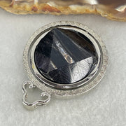 Natural Hypersthene in Stainless Steel Pendant 24.14g 25.0 by 9.6mm - Huangs Jadeite and Jewelry Pte Ltd