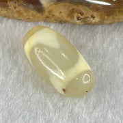 Natural Powerful Tibetan Old Oily Agate Tiger Tooth Daluo Dzi Bead Heavenly Master (Tian Zhu) 虎呀天诛 2.91g 20.1 by 10.2mm - Huangs Jadeite and Jewelry Pte Ltd