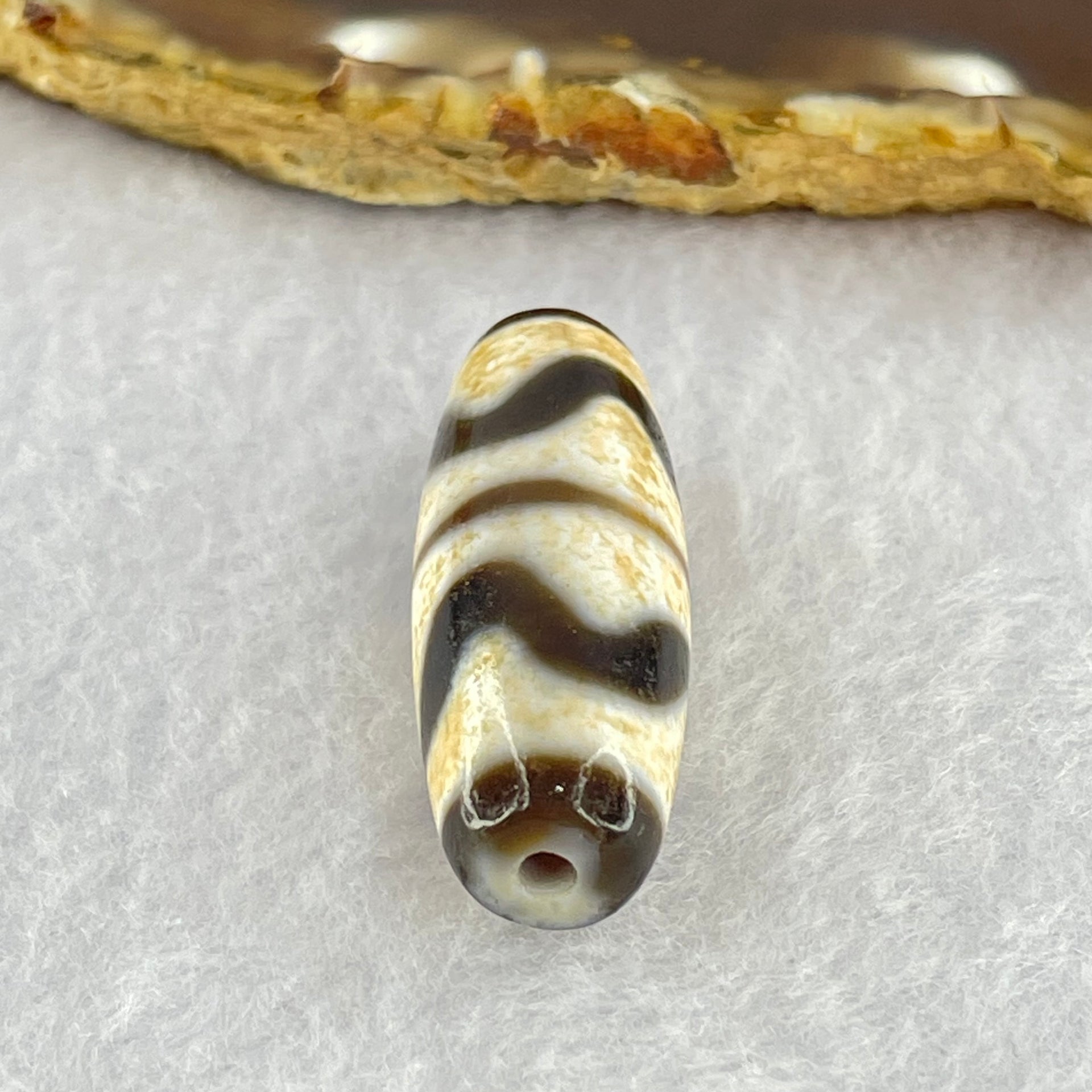 Natural Powerful Tibetan Old Oily Dark Brown White Yellow Agate Double Tiger Tooth Daluo Dzi Bead Heavenly Master (Tian Zhu) 双虎呀天诛 9.73g 37.4 by 13.1mm - Huangs Jadeite and Jewelry Pte Ltd