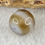 Natural Powerful Tibetan Old Oily Agate 1 Line Dzi Bead Heavenly Master (Tian Zhu) 1.96g 9.7 by 11.3mm - Huangs Jadeite and Jewelry Pte Ltd