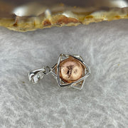 Meteorite in 925 Sliver Pendent (Rose Gold Color) 3.20g 14.1 by 13.2 by 8.0 mm - Huangs Jadeite and Jewelry Pte Ltd