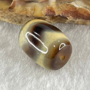 Natural Powerful Tibetan Old Oily Agate Tiger Tooth Daluo Dzi Bead Heavenly Master (Tian Zhu) 虎呀天诛 2.30g 13.1 by 10.1mm - Huangs Jadeite and Jewelry Pte Ltd