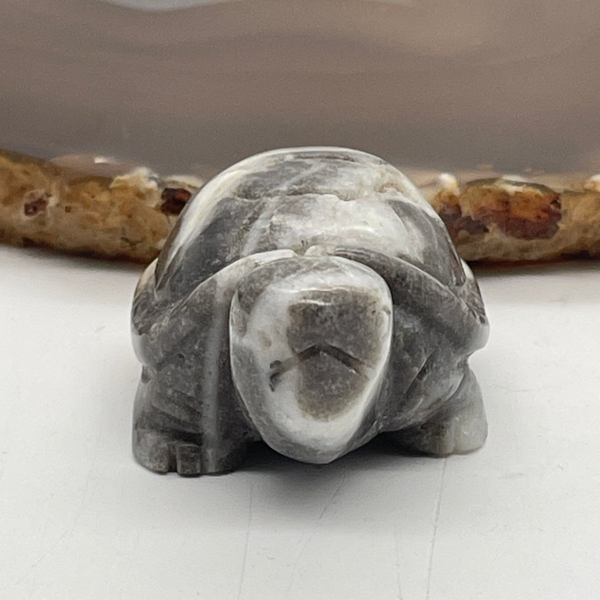 Natural Greyish with White Agate Turtle Mini Display Specimen | (47.84g | 49.2 x 32.8 x 24.8mm Dimensions | Root & Crown Chakra Synergy, Longevity Anchor, Mindful Stability & Feng Shui Protection Catalyst)