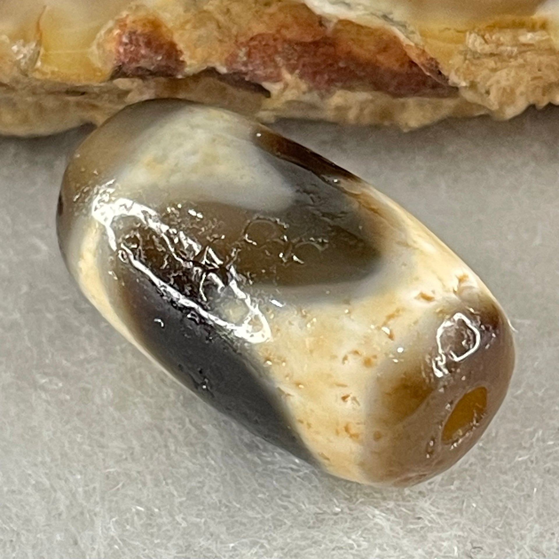 Natural Powerful Tibetan Old Oily Agate Tiger Tooth Daluo Dzi Bead Heavenly Master (Tian Zhu) 2.86g 18.6 by 10.3mm - Huangs Jadeite and Jewelry Pte Ltd