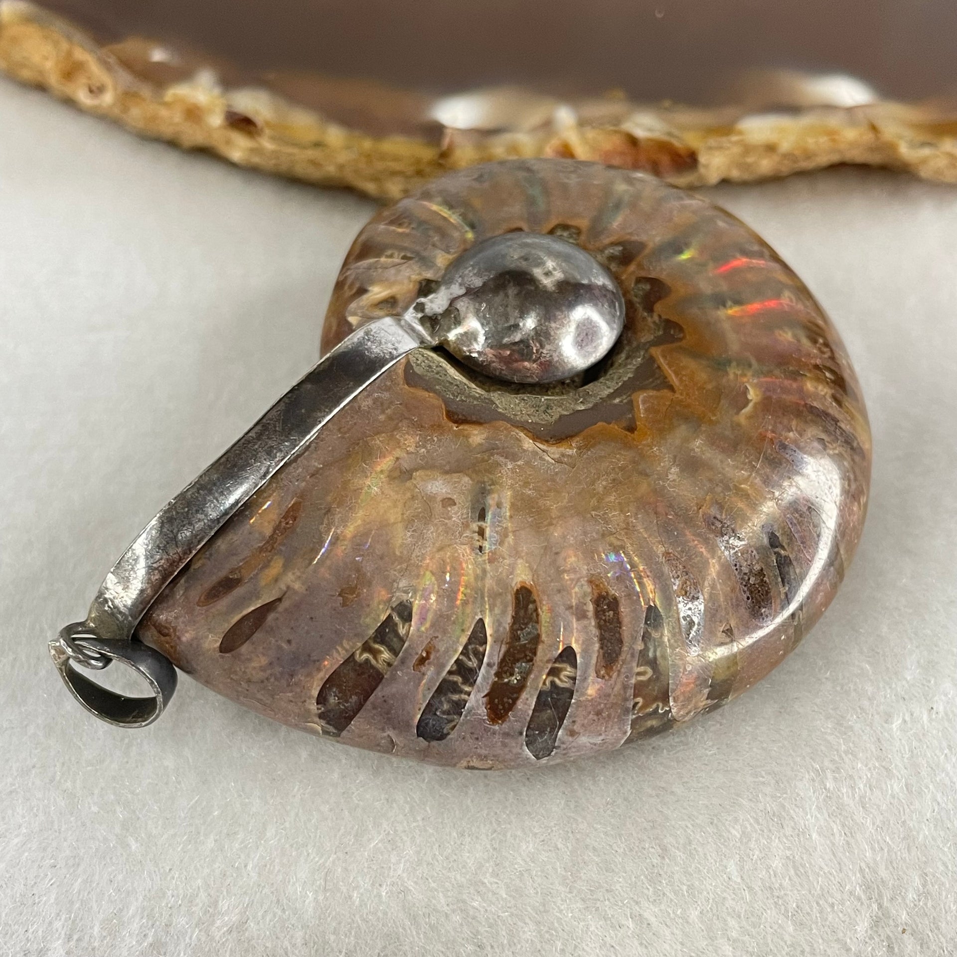 Natural Ammonite Fossil in Silver Pendant 61.42g 56.0 by 44.4 by 18.4mm - Huangs Jadeite and Jewelry Pte Ltd