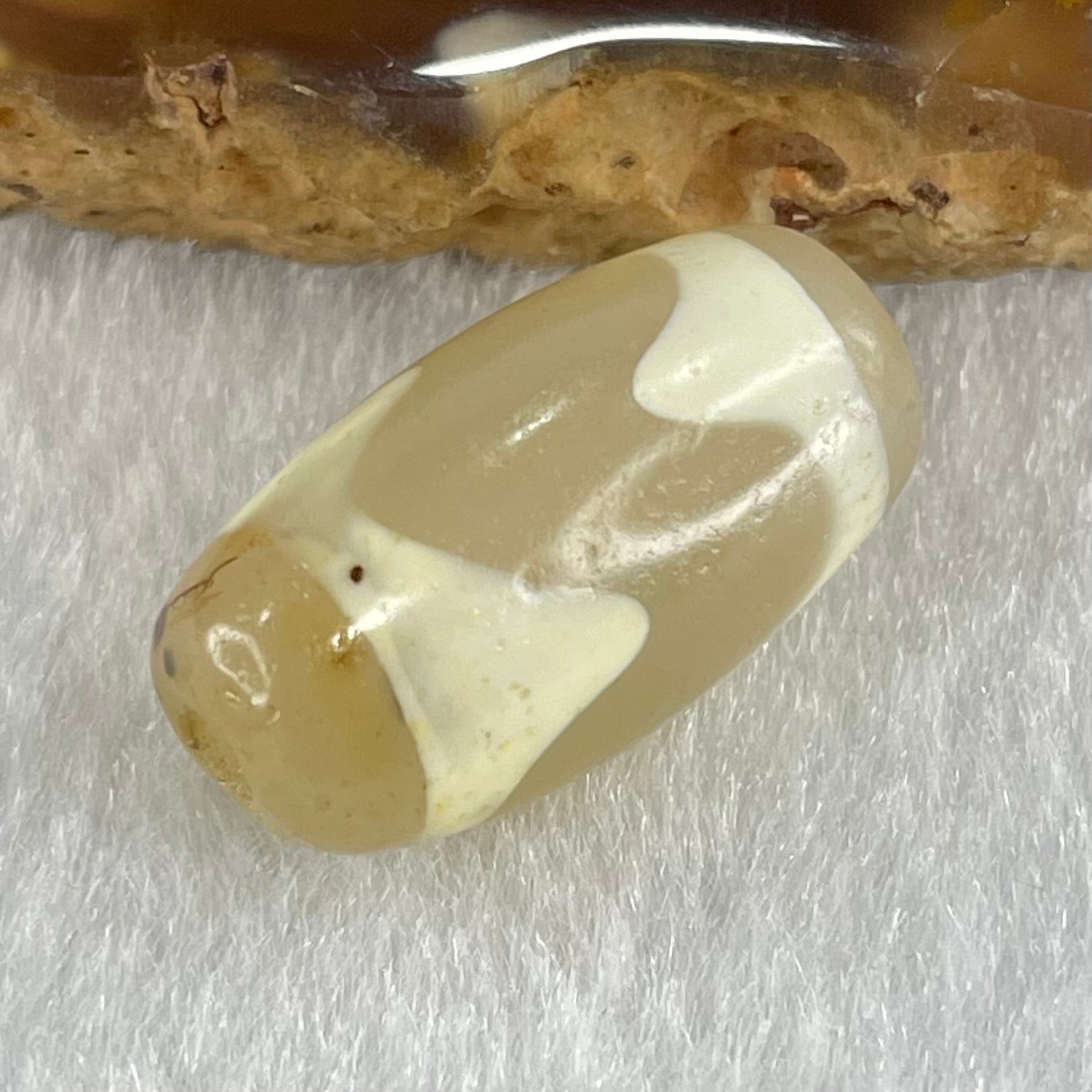 Natural Powerful Tibetan Old Oily Agate Tiger Tooth Daluo Dzi Bead Heavenly Master (Tian Zhu) 虎呀天诛 3.31g 20.1 by 10.8mm - Huangs Jadeite and Jewelry Pte Ltd