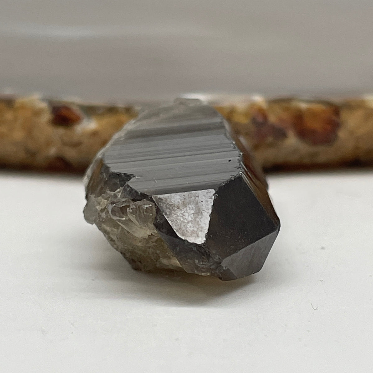 Natural Smoky Quartz Rough Mini Display | (21.35g | 55.3 x 21.7 x 15.2mm | Grounding Catalyst, "Stone of Stability & EMF Shielding" Executive Anchor, Feng Shui Space Protection Rough Specimen)