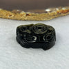 Natural Black Osidian Dragon Tortoise Charm 15.82g 32.8 by 24.1 by 13.6mm - Huangs Jadeite and Jewelry Pte Ltd