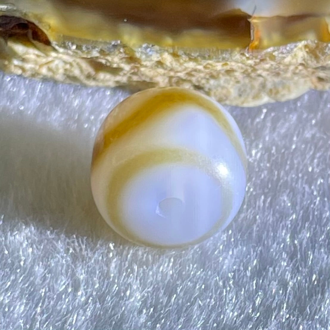 Natural Powerful Tibetan Old Oily Agate Tiger Tooth Daluo Dzi Bead Heavenly Master (Tian Zhu) 2.08g 9.8 by 11.4mm - Huangs Jadeite and Jewelry Pte Ltd