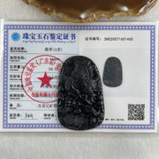 Type A Opaque to Partial Translucent Black Omphacite Jadeite Eagle Fish and Lotus Leaf Pendant 29.55g 60.1 by 38.1 by 8.0mm - Huangs Jadeite and Jewelry Pte Ltd