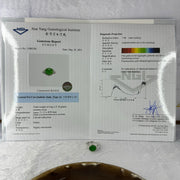 Type A Burmese Jade Jadeite Pixiu Head in 18k white gold with white sapphires and diamonds 4.17g pixiu head 9.0 by 11.0 by 2.0mm inner diameter 17.4mm US7 HK15 with NGI Cert - Huangs Jadeite and Jewelry Pte Ltd