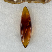 Natural Amber Mini Display 8.92g 61.4 by 17.2 by 14.9mm - Huangs Jadeite and Jewelry Pte Ltd