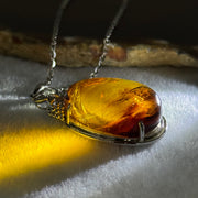 Natural Amber with Cubic Zirconia in S925 Sliver Necklace 15.05g 30.8 by 19.4 by 15.1mm - Huangs Jadeite and Jewelry Pte Ltd