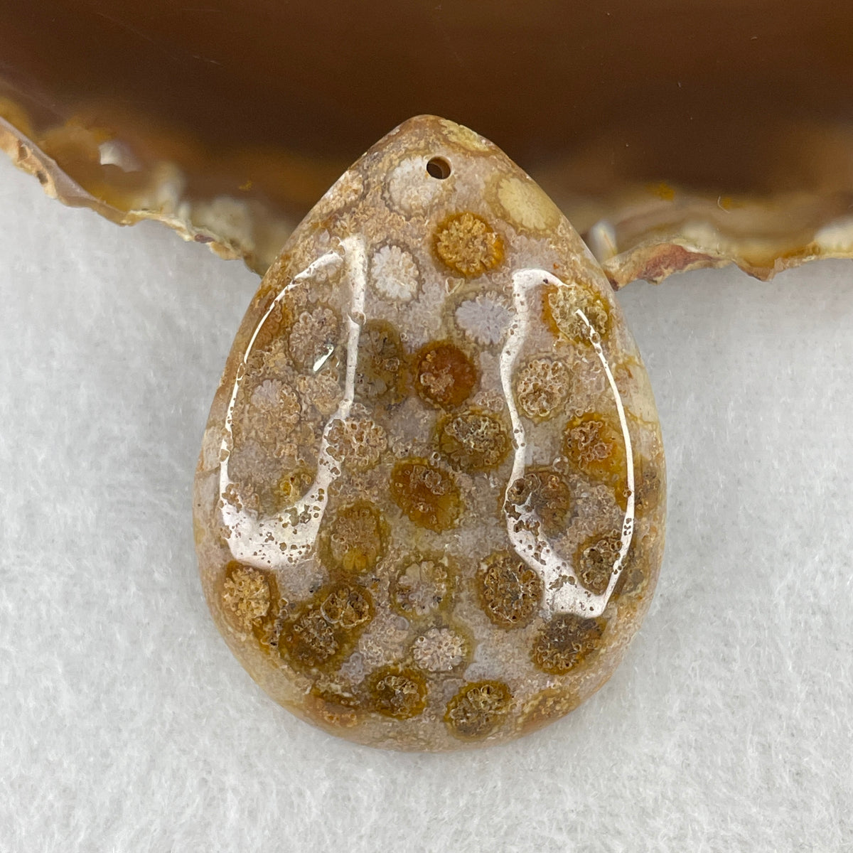 Natural Agatized Fossil Coral Teardrop Pendant | Ancient Botanical Star Pattern Fossil Gemstone (18.13g | 44.0 x 32.6 x 9.2mm)