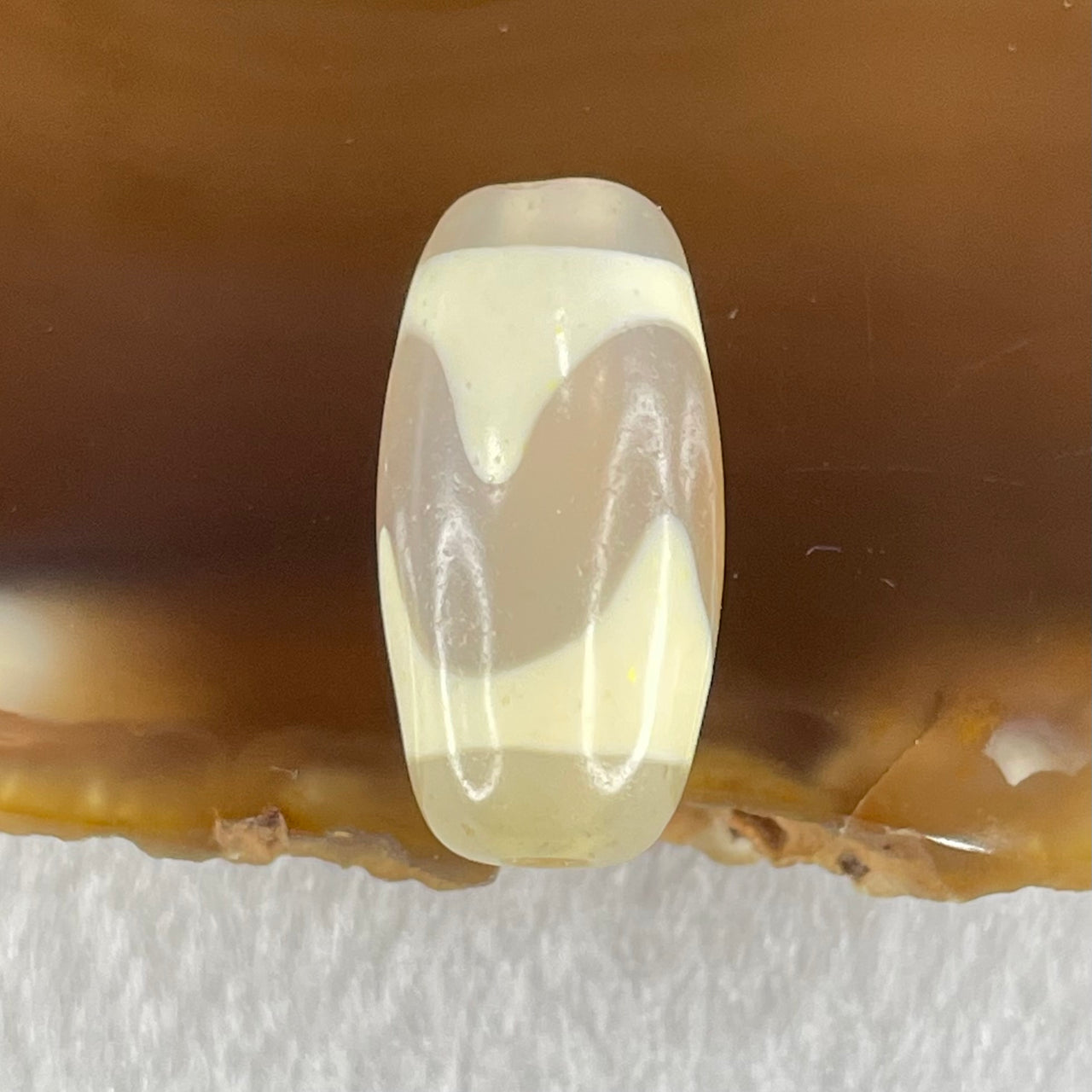 Natural Powerful Tibetan Old Oily Agate Tiger Tooth Daluo Dzi Bead Heavenly Master (Tian Zhu) 虎呀天诛 3.02g 20.0 by 10.3mm - Huangs Jadeite and Jewelry Pte Ltd