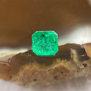 Natural Colombia Green Emerald (Beryl) Cut-Cornered Rectangular step cut 0.55ct 4.8 by 4.8 by 3.4mm - Huangs Jadeite and Jewelry Pte Ltd