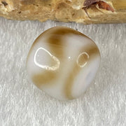 Natural Powerful Tibetan Old Oily Agate Tiger Tooth Daluo Dzi Bead Heavenly Master (Tian Zhu) 1.88g 9.9 by 10.9mm - Huangs Jadeite and Jewelry Pte Ltd