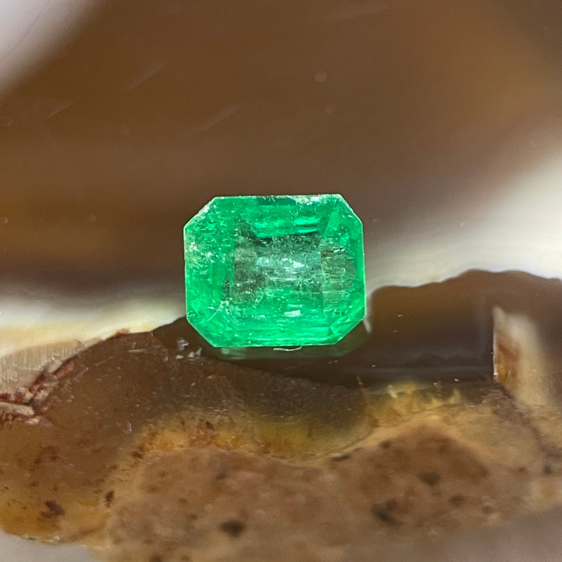 Natural Colombia Vivid Green Emerald (Beryl) Cut-Cornered Rectangular Step cut 0.40ct 4.6 by 4.0 by 2.9mm - Huangs Jadeite and Jewelry Pte Ltd
