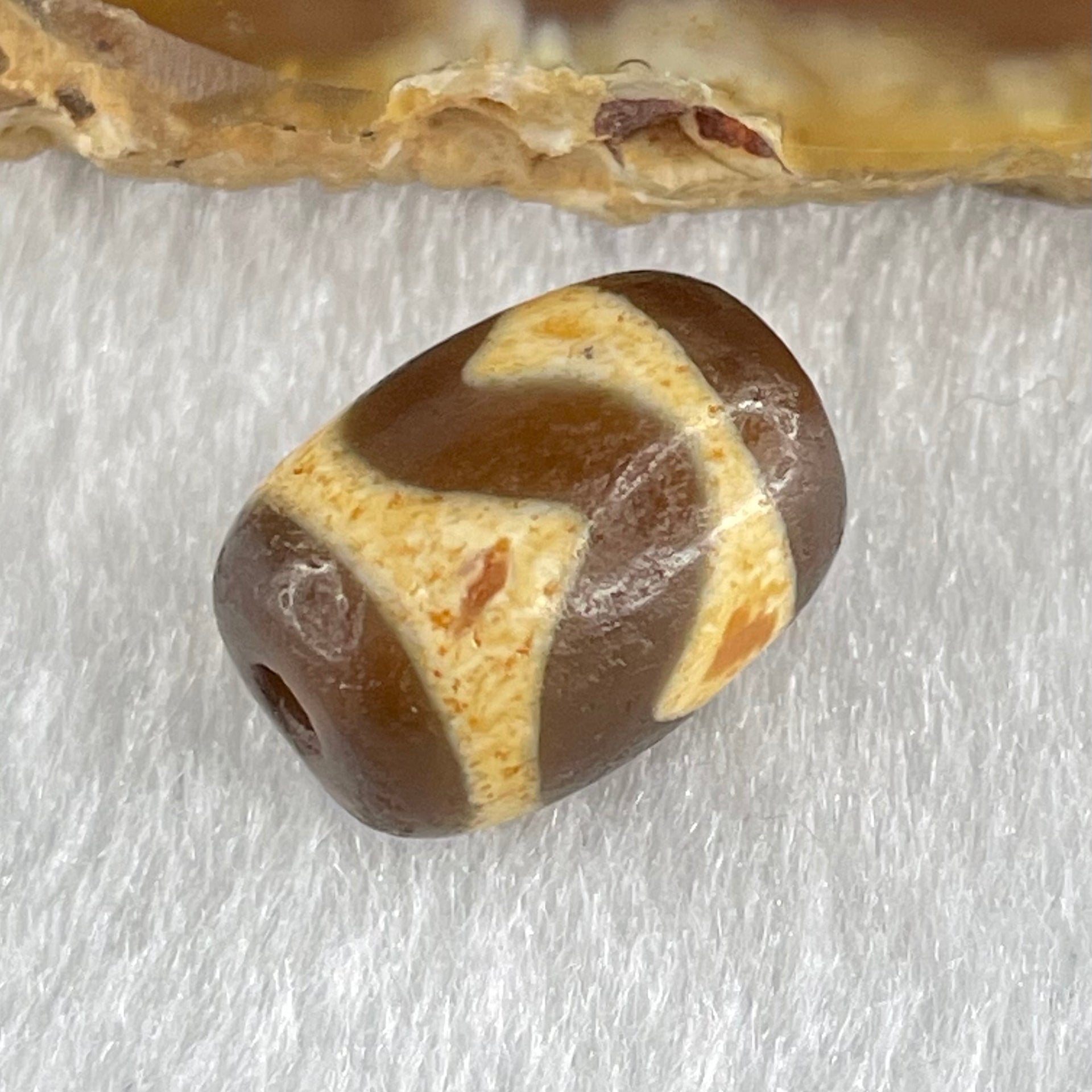 Natural Powerful Tibetan Old Oily Dark Brown Yellow Agate Tiger Tooth Daluo Dzi Bead Heavenly Master (Tian Zhu) 2.50g 14.4 by 10.6mm - Huangs Jadeite and Jewelry Pte Ltd