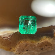 Natural Colombia Vivid Green Emerald (Beryl) Cut-Cornered Square Step cut 0.43ct 4.7 by 4.6 by 2.6mm - Huangs Jadeite and Jewelry Pte Ltd