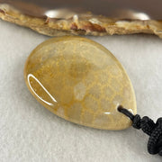 Natural Brown Coral Agate Pendant 19.88g 44.0 by 31.3 by 10.5mm - Huangs Jadeite and Jewelry Pte Ltd