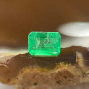 Natural Colombia Green Emerald (Beryl) Cut-Cornered Rectangular step cut 0.50ct 5.5 by 4.2 by 3.1mm - Huangs Jadeite and Jewelry Pte Ltd