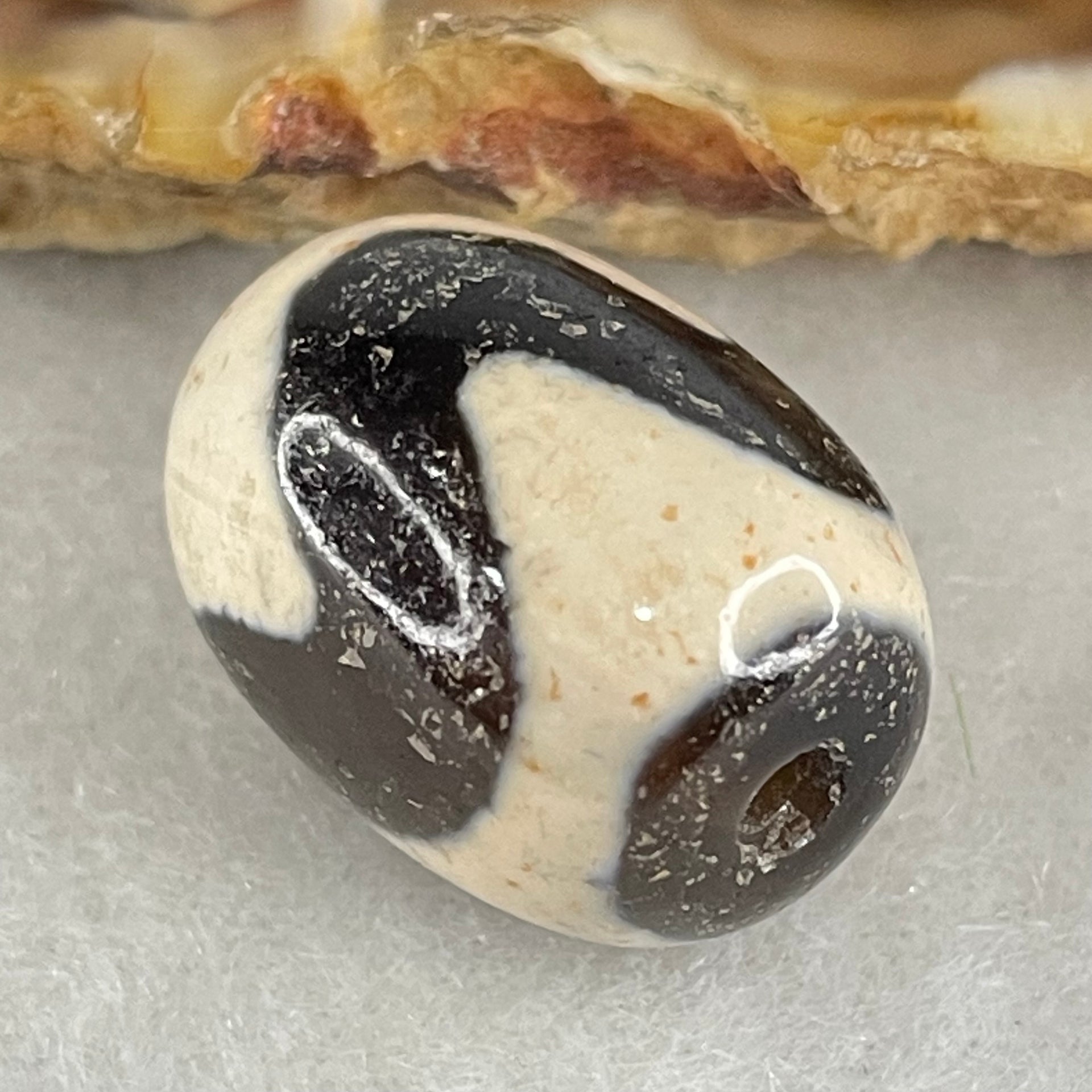Natural Powerful Tibetan Old Oily Agate Tiger Tooth Daluo Dzi Bead Heavenly Master (Tian Zhu) 虎呀天诛 4.32g 17.4 by 12.8mm - Huangs Jadeite and Jewelry Pte Ltd