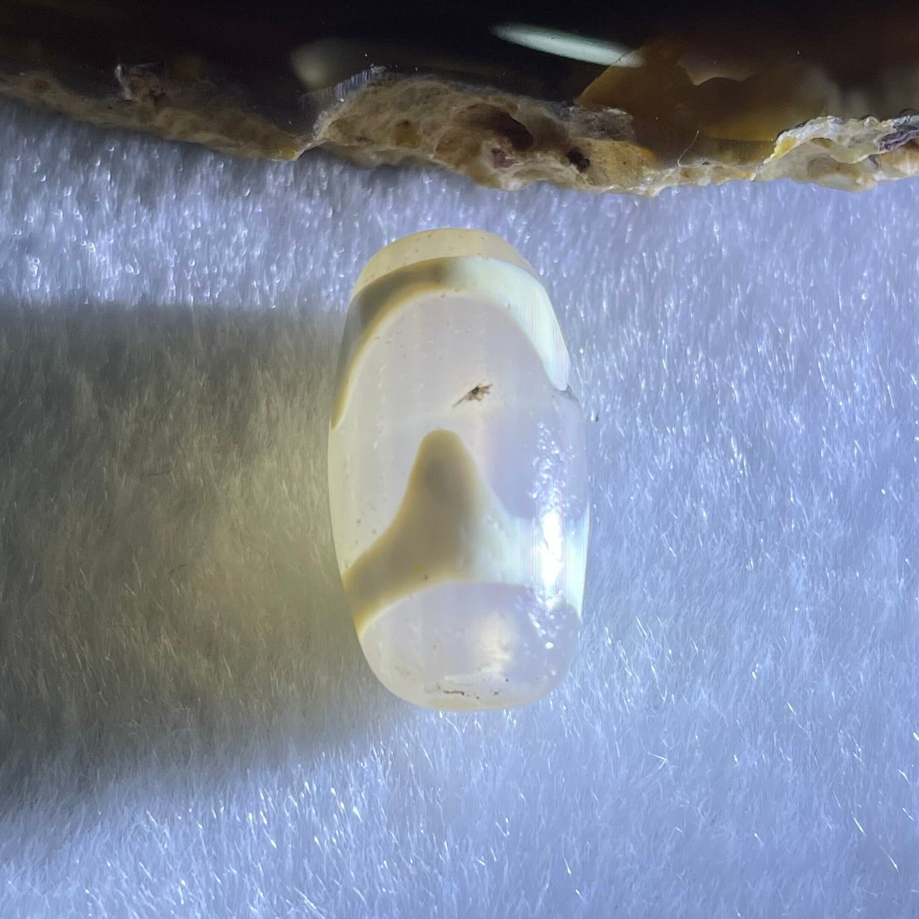 Natural Powerful Tibetan Old Oily Agate Tiger Tooth Daluo Dzi Bead Heavenly Master (Tian Zhu) 虎呀天诛 3.40g 20.1 by 10.0mm - Huangs Jadeite and Jewelry Pte Ltd