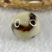 Natural Powerful Tibetan Old Oily Yellowish White with Black Agate Tiger Tooth Daluo Dzi Bead Heavenly Master (Tian Zhu) 虎呀天诛 3.42g 13.7mm - Huangs Jadeite and Jewelry Pte Ltd
