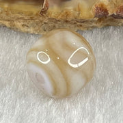 Natural Powerful Tibetan Old Oily Agate Tiger Tooth Daluo Dzi Bead Heavenly Master (Tian Zhu) 1.96g 9.9 by 11.1mm - Huangs Jadeite and Jewelry Pte Ltd