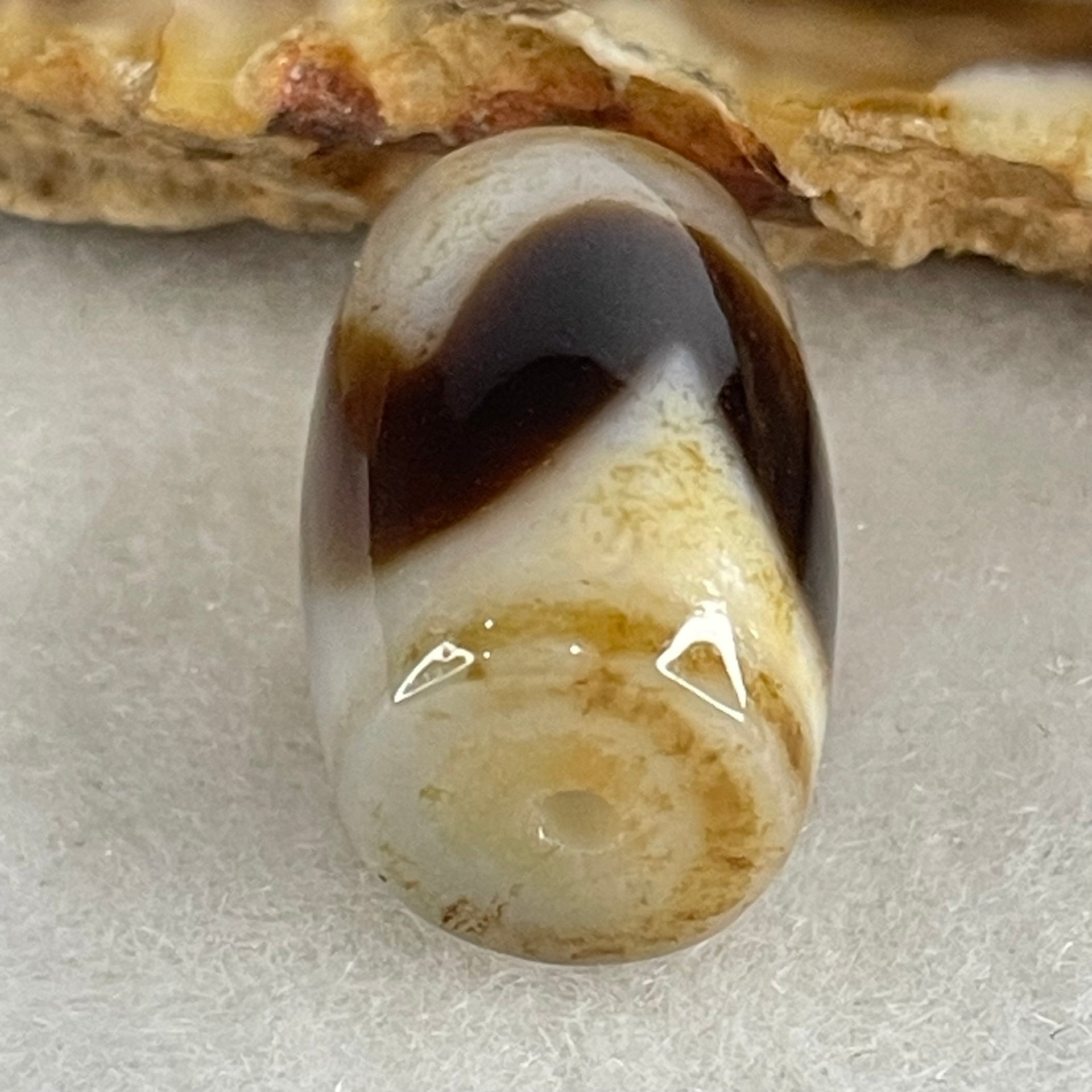 Natural Powerful Tibetan Old Oily Agate Tiger Tooth Daluo Dzi Bead Heavenly Master (Tian Zhu) 虎呀天诛 4.90g 18.7 by 12.4mm - Huangs Jadeite and Jewelry Pte Ltd