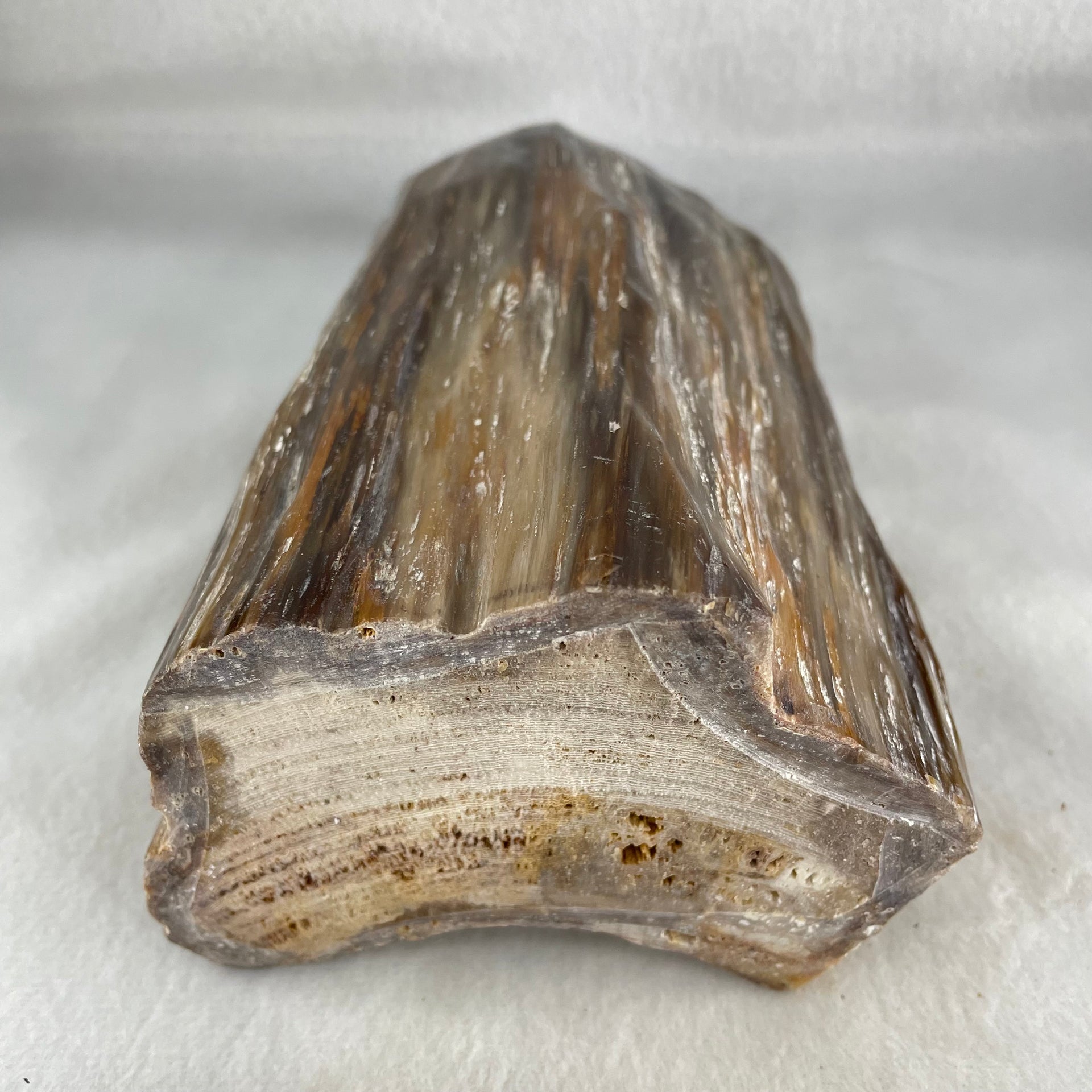 Natural Fossilised Petrified Wood Tower with Wooden Stand Display 1722.7g 185.0 by 146.2 by 110.0mm - Huangs Jadeite and Jewelry Pte Ltd