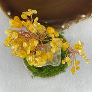 Natural Citrine Money Tree with Rough Citrine Display 139.62g 90.2 by 66.8 by 74.4mm - Huangs Jadeite and Jewelry Pte Ltd