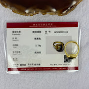 Natural Green Amber with Milk and Yellow Inclusions in S925 Sliver Gold Color Ring (Adjustable Size) 2.74g 9.0 by 3.0mm - Huangs Jadeite and Jewelry Pte Ltd