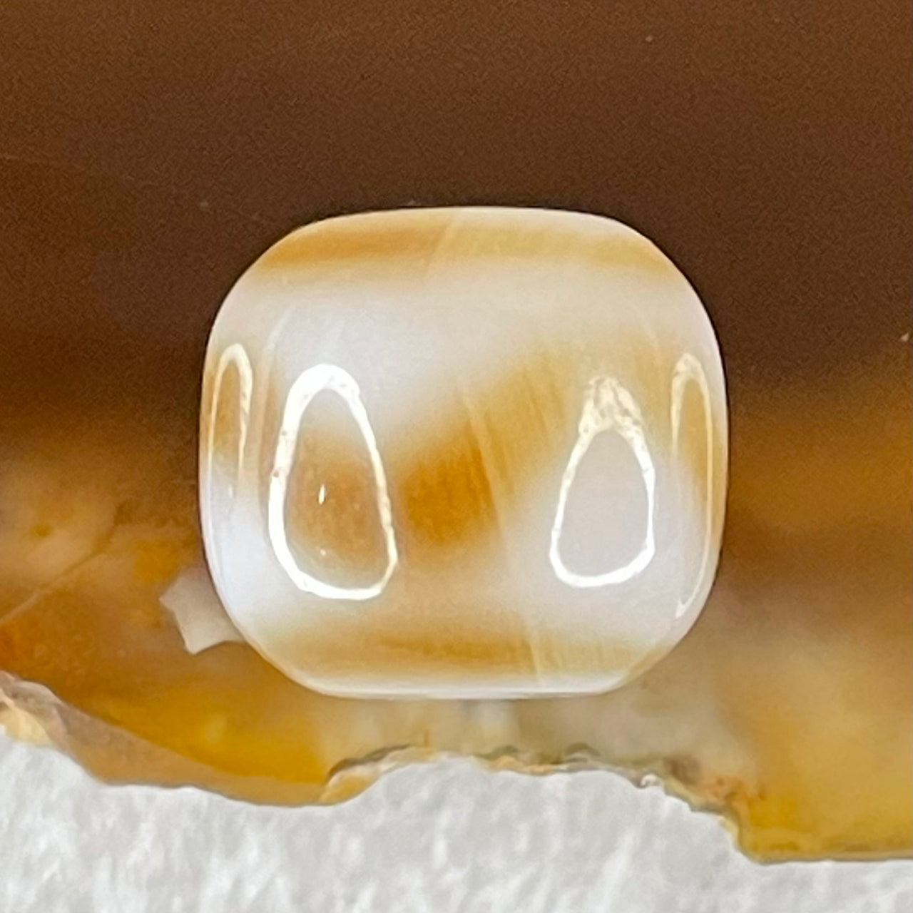 Natural Powerful Tibetan Old Oily Agate Tiger Tooth Daluo Dzi Bead Heavenly Master (Tian Zhu) 1.88g 9.9 by 10.9mm - Huangs Jadeite and Jewelry Pte Ltd