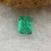 Natural Colombia Vivid Green Emerald (Beryl) Cut-Cornered Square Step cut 0.42ct 5.0 by 4.9 by 2.9mm - Huangs Jadeite and Jewelry Pte Ltd