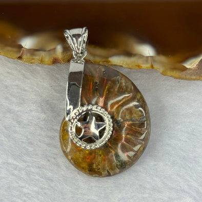 Natural Ammolite Fossil In Sliver Pendent/Charm 12.50g 30.8 by 24.7 by 10.1mm - Huangs Jadeite and Jewelry Pte Ltd