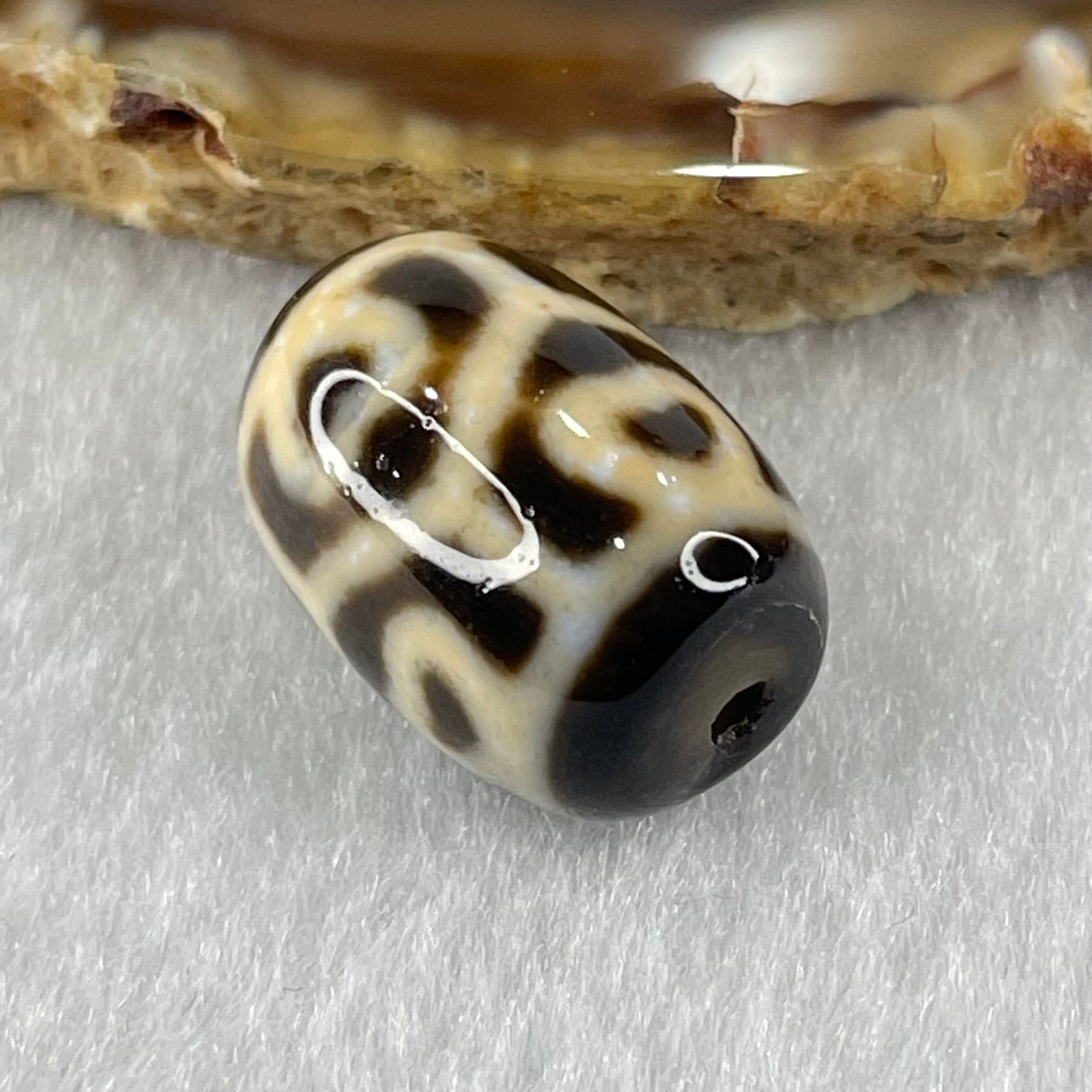 Natural Powerful Tibetan Old Oily Agate 6 Hearts Tortoise Shell Dzi Bead Heavenly Master (Tian Zhu) 六心龟壳天珠 5.01g 18.1 by 13.1mm - Huangs Jadeite and Jewelry Pte Ltd